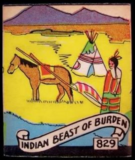 829 Indian Beast of Burden